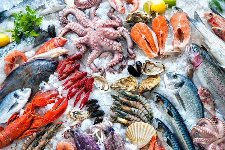 Sea Food Products